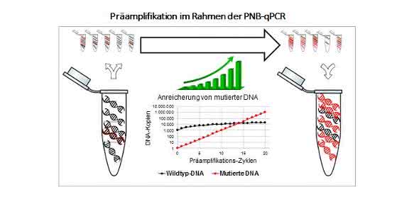 Ausschnitt aus dem diagnostischen Ablauf der neuen Methode (Bild: Abteilung Sportmedizin, Prävention und Rehabilitation, JGU)
