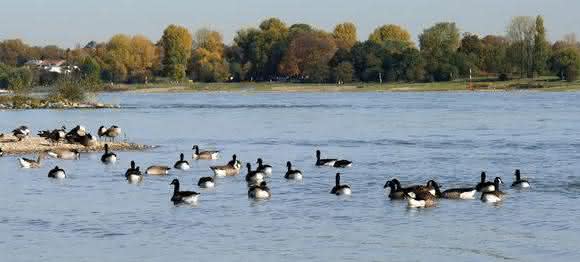 40 Jahre Abwasserabgabengesetz: Wie die Flüsse wieder sauber wurden