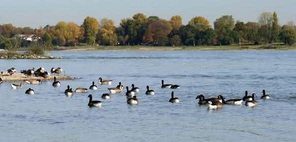 40 Jahre Abwasserabgabengesetz: Wie die Flüsse wieder sauber wurden 40 Jahre Abwasserabgabengesetz: Wie die Flüsse wieder sauber wurden