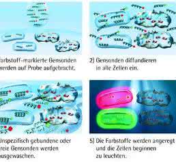 VIT Gensondentechnologie VIT Gensondentechnologie