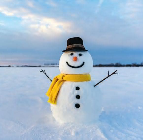 Schneemann Schneemann