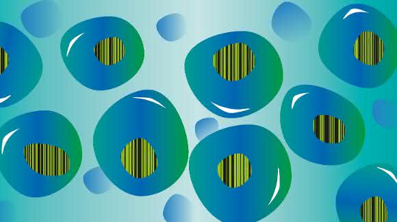 Im übertragenen Sinn: Blutstammzellen mit Barcodes (Bild: DKFZ) Blutstammzellen mit Barcodes