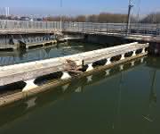 ACE Kollision Schleuse Maasbracht