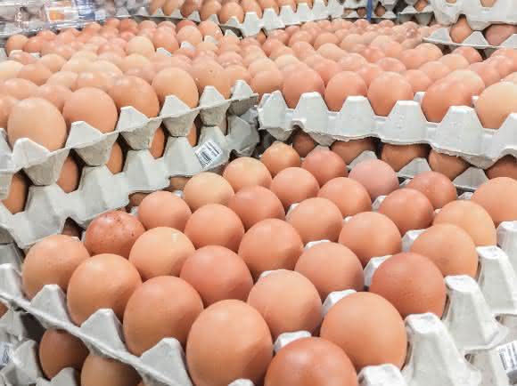Fipronil in Eiern? (Bild: Fotolia / Nudda)