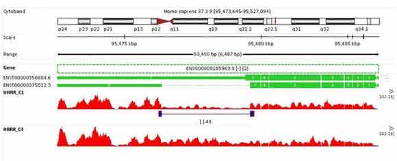 RNA-seq: Bioinformatics Tools RNA-seq: Bioinformatics Tools