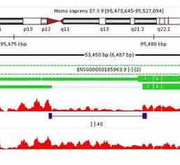 RNA-seq: Bioinformatics Tools