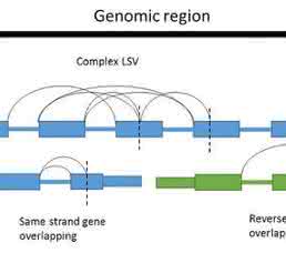 RNA-seq: Bioinformatics Tools