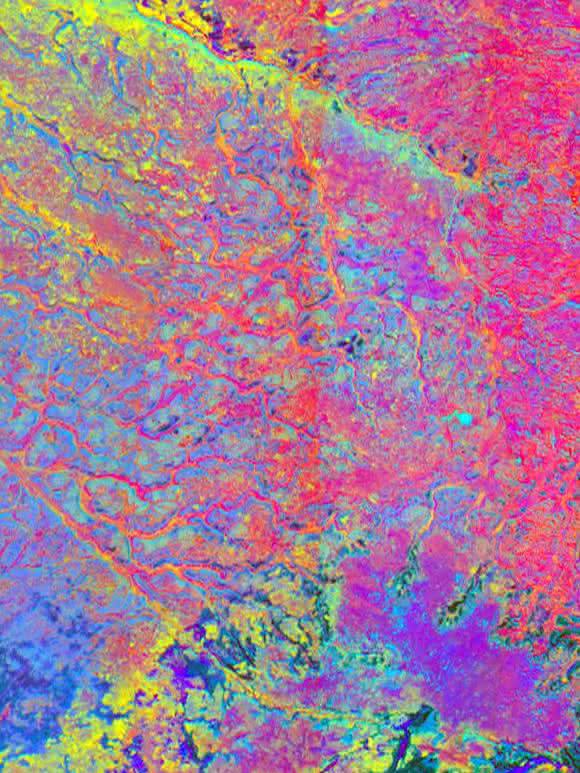 Satellitendaten zeigen bedrohte Affenpopulationen auf der Erde. (Bild: University of Leicester / Dr Beth Cole) Satellitendaten zeigen bedrohte Affenpopulationen auf der Erde.
