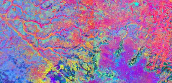 Satellitendaten zeigen bedrohte Affenpopulationen auf der Erde.
