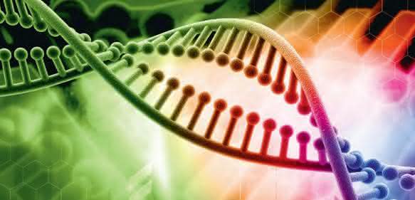 RNA-seq: Bioinformatics Tools