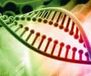 RNA-seq: Bioinformatics Tools RNA-seq: Bioinformatics Tools