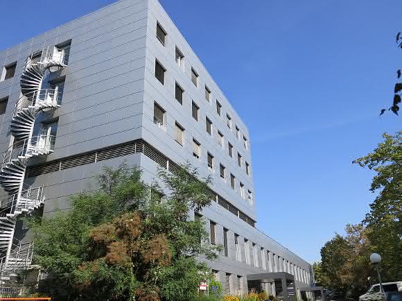 Systemimmunologie: Neue Max-Planck-Forschungsgruppe in Würzburg