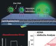 Ultrasensitive DNA-Quantifizierung: Per Lichtstreuung ganz ohne PCR