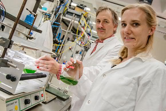 Wasserstoff und Metabolismus: Evolution eines bakteriellen Enzyms in Grünalgen
