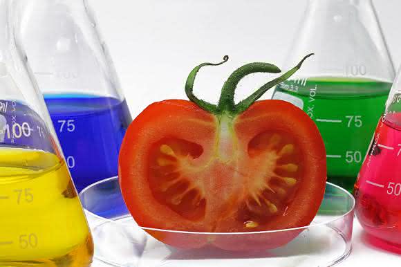 Phytoextrakte: Positionspapier gibt Marktüberblick und nennt Forschungsziele