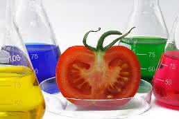 Phytoextrakte: Positionspapier gibt Marktüberblick und nennt Forschungsziele