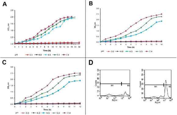 EAEC Under Stress: Loss of Biofilm Formation