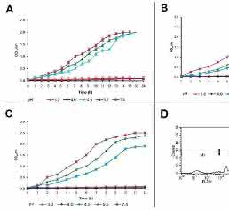 EAEC Under Stress: Loss of Biofilm Formation