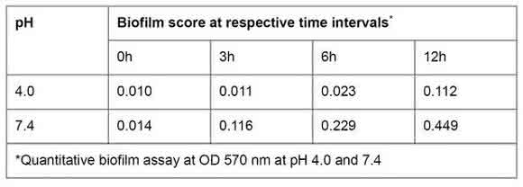 EAEC Under Stress: Loss of Biofilm Formation