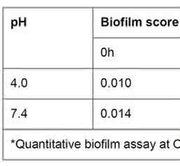 EAEC Under Stress: Loss of Biofilm Formation