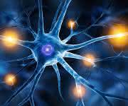 Human Tissue Engineering: Identifying activated micro RNAs