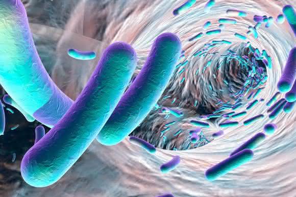 EAEC Under Stress: Loss of Biofilm Formation