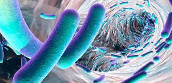 EAEC Under Stress: Loss of Biofilm Formation