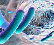 EAEC Under Stress: Loss of Biofilm Formation