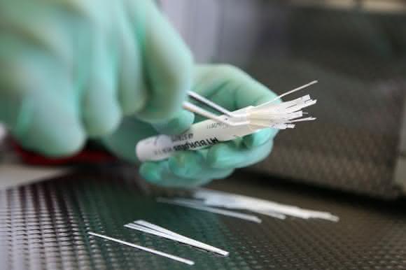 DNA-STRIP-Technologie DNA-STRIP-Technologie