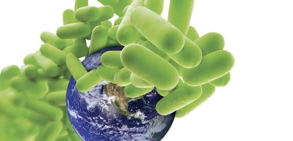An der Praxis orientierte Labortests: TB - or not TB