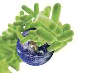 An der Praxis orientierte Labortests: TB - or not TB