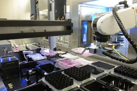Stem-Cell-Discovery Stem-Cell-Discovery