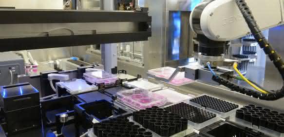 Stem-Cell-Discovery Stem-Cell-Discovery