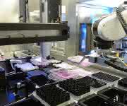 Stem-Cell-Discovery