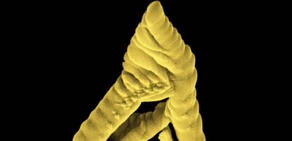 Nanostruktur aus Gold