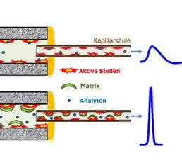 Matrix-Induced Response Enhancement“- Effekt