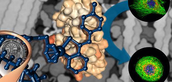 Plecstatin als maßgeschneidertes Medikament für die Krebstherapie