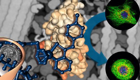 Plecstatin als maßgeschneidertes Medikament für die Krebstherapie