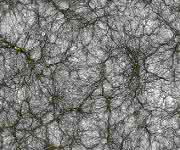 Virtueller Kosmos: Simulation zur Entwicklung des Weltalls