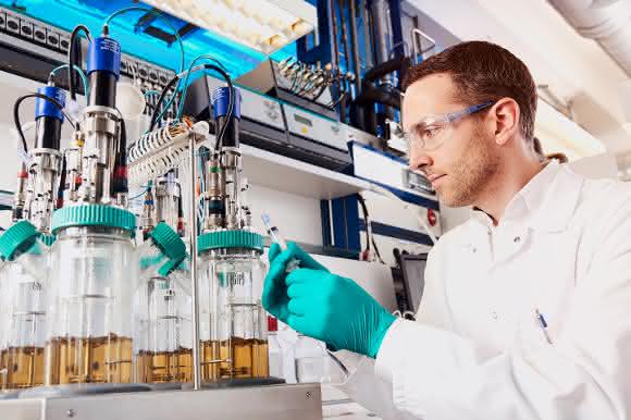 Herstellung von Bio-Anilin im Labor