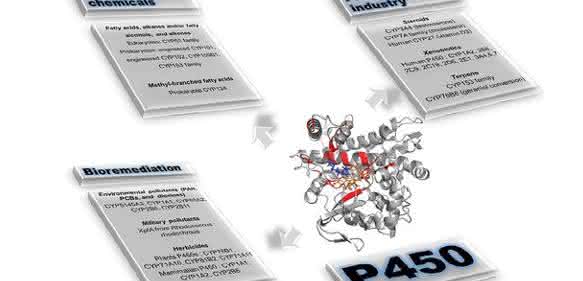 Opportunities and Challenges: An Overview of P450 Enzymes Opportunities and Challenges: An Overview of P450 Enzymes
