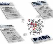 Opportunities and Challenges: An Overview of P450 Enzymes