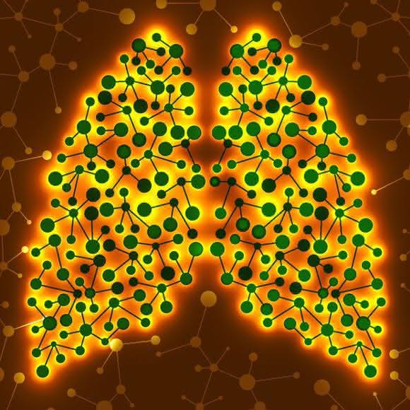 Cell Culture Techniques: Testing of Inhaled Materials and Nanomaterials In Vitro