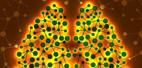 Cell Culture Techniques: Testing of Inhaled Materials and Nanomaterials In Vitro
