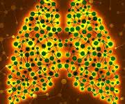 Cell Culture Techniques: Testing of Inhaled Materials and Nanomaterials In Vitro