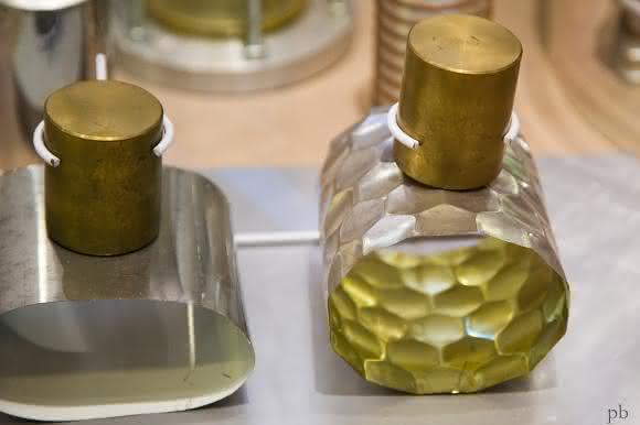 Bionik: Entwickeln im Sinne der Natur Bionik: Entwickeln im Sinne der Natur