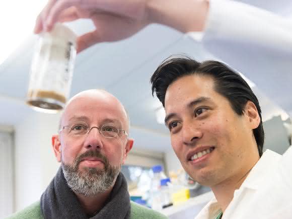 Das Bonner Forscherteam Prof. Dr. Jörg Höhfeld (links) und sein Mitarbeiter Riga Tawo vom Institut für Zellbiologie der Universität Bonn. In dem Behälter sind Fruchtfliegen. Wird der Abbauweg für den Insulinrezeptor ausgeschaltet, dann leben die Fliegen kürzer. (© Foto: Barbara Frommann / Uni Bonn) Das Bonner Forscherteam Prof. Dr. Jörg Höhfeld (links) und sein Mitarbeiter Riga Tawo vom Institut für Zellbiologie der Universität Bonn. In dem Behälter sind Fruchtfliegen. Wird der Abbauweg für den Insulinrezeptor ausgeschaltet, dann leben die Fliegen kürzer. (© Foto: Barbara Frommann / Uni Bonn)