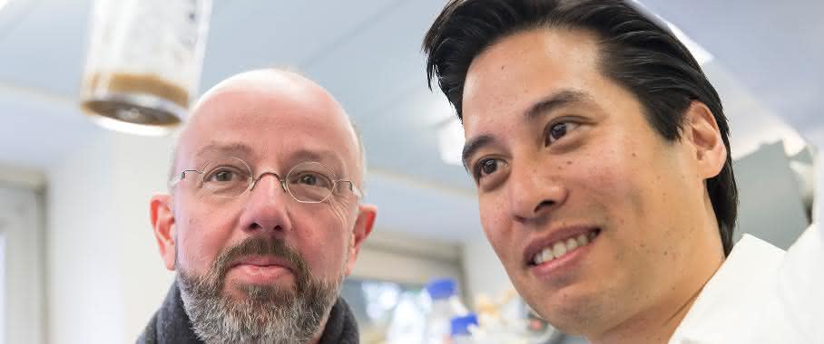 Das Bonner Forscherteam Prof. Dr. Jörg Höhfeld (links) und sein Mitarbeiter Riga Tawo vom Institut für Zellbiologie der Universität Bonn. In dem Behälter sind Fruchtfliegen. Wird der Abbauweg für den Insulinrezeptor ausgeschaltet, dann leben die Fliegen kürzer. (© Foto: Barbara Frommann / Uni Bonn) Das Bonner Forscherteam Prof. Dr. Jörg Höhfeld (links) und sein Mitarbeiter Riga Tawo vom Institut für Zellbiologie der Universität Bonn. In dem Behälter sind Fruchtfliegen. Wird der Abbauweg für den Insulinrezeptor ausgeschaltet, dann leben die Fliegen kürzer. (© Foto: Barbara Frommann / Uni Bonn)