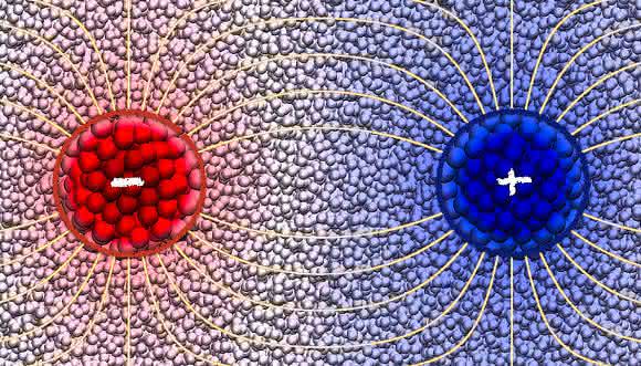 Der Temperaturunterschied zwischen einem heißen (rot) und einem kalten (blau) Nanoteilchen führt zu einer Ausrichtung der Moleküle in der umgebenden polaren Flüssigkeit, welche wiederum eine anziehende Kraft zwischen den beiden Teilchen verursacht. (Copyright: Andela Šarić / Peter Wirnsberger / University of Cambridge)