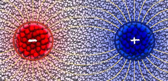 Der Temperaturunterschied zwischen einem heißen (rot) und einem kalten (blau) Nanoteilchen führt zu einer Ausrichtung der Moleküle in der umgebenden polaren Flüssigkeit, welche wiederum eine anziehende Kraft zwischen den beiden Teilchen verursacht. (Copyright: Andela Šarić / Peter Wirnsberger / University of Cambridge)